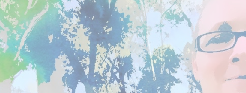 Screen Shot 2015-12-31 at 1.55.44 PM