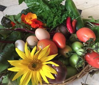 basket of produce
