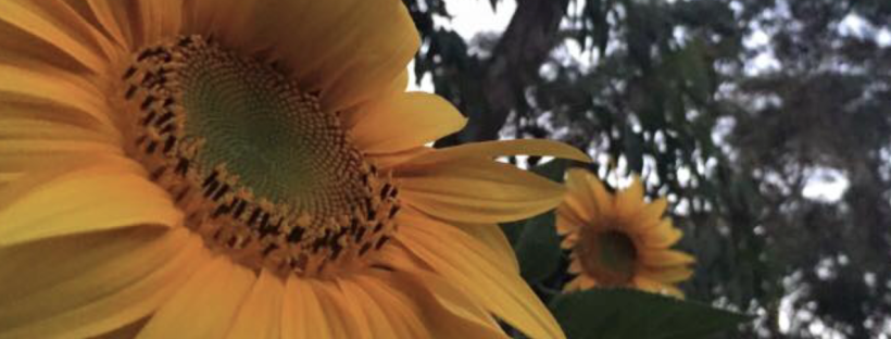 Screen Shot 2016-03-06 at 7.38.18 PM