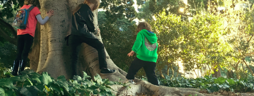 image shows three children playing under a large tree